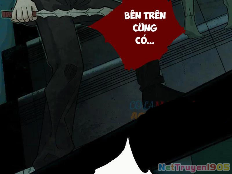 Thu Thi Nhân: Mở Đầu Bằng Việc Giải Phẫu Bạn Gái Cũ Chapter 16 - 79