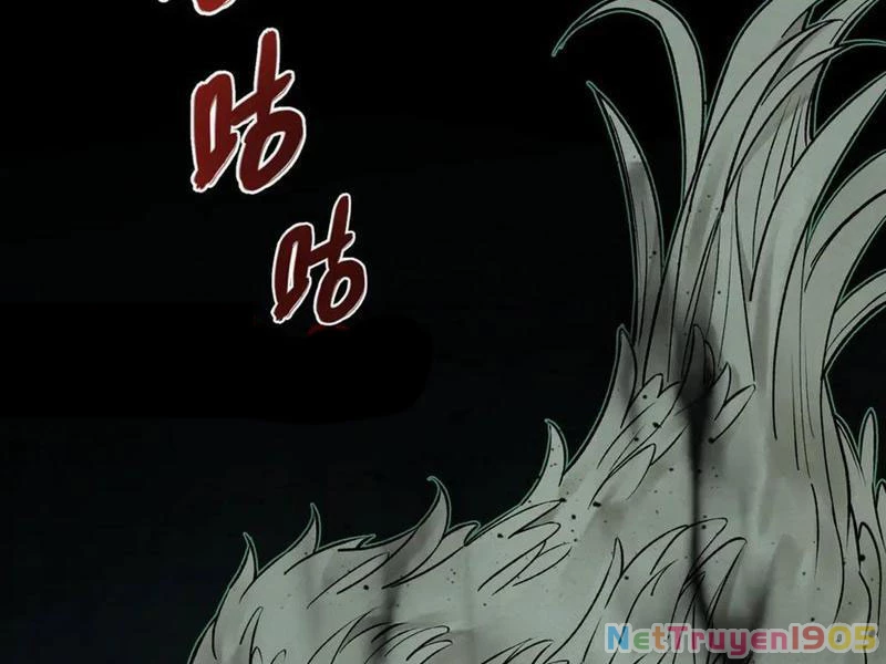 Thu Thi Nhân: Mở Đầu Bằng Việc Giải Phẫu Bạn Gái Cũ Chapter 17 - 25