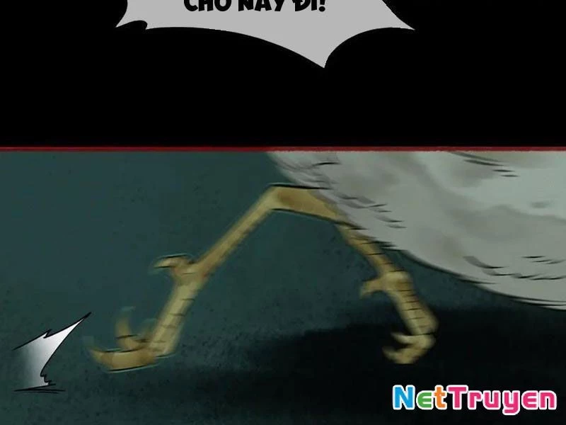 Thu Thi Nhân: Mở Đầu Bằng Việc Giải Phẫu Bạn Gái Cũ Chapter 17 - 36