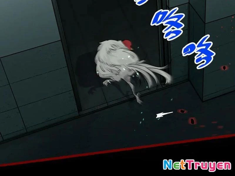 Thu Thi Nhân: Mở Đầu Bằng Việc Giải Phẫu Bạn Gái Cũ Chapter 17 - 51