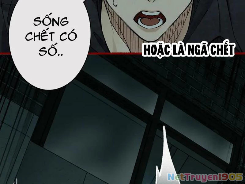 Thu Thi Nhân: Mở Đầu Bằng Việc Giải Phẫu Bạn Gái Cũ Chapter 17 - 68