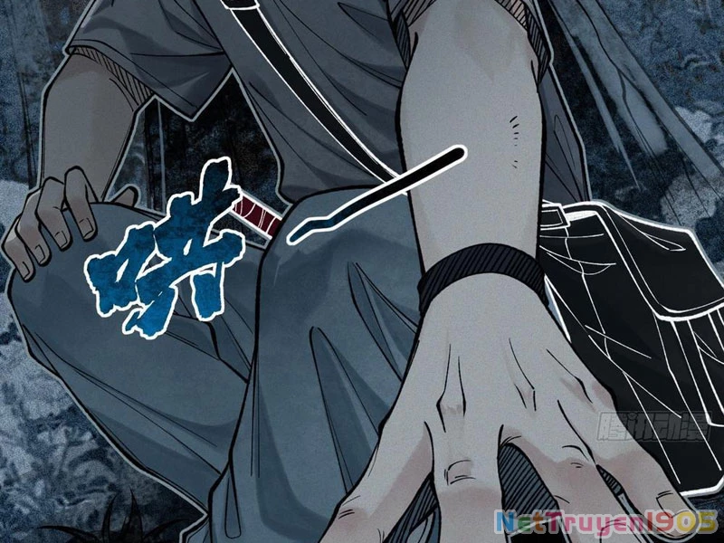 Thu Thi Nhân: Mở Đầu Bằng Việc Giải Phẫu Bạn Gái Cũ Chapter 23 - 19