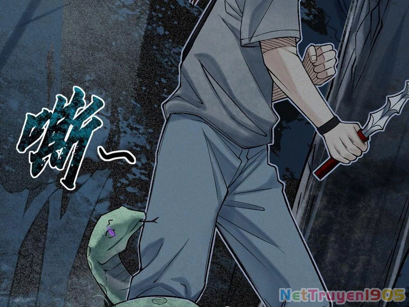 Thu Thi Nhân: Mở Đầu Bằng Việc Giải Phẫu Bạn Gái Cũ Chapter 23 - 42