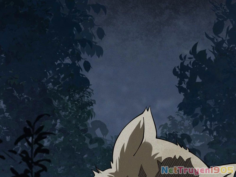 Thu Thi Nhân: Mở Đầu Bằng Việc Giải Phẫu Bạn Gái Cũ Chapter 23 - 94