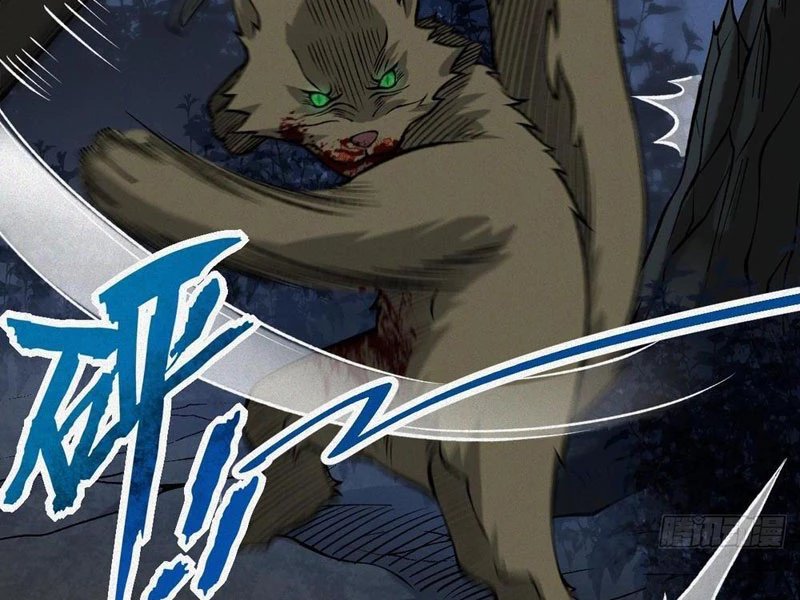 Thu Thi Nhân: Mở Đầu Bằng Việc Giải Phẫu Bạn Gái Cũ Chapter 23 - 114