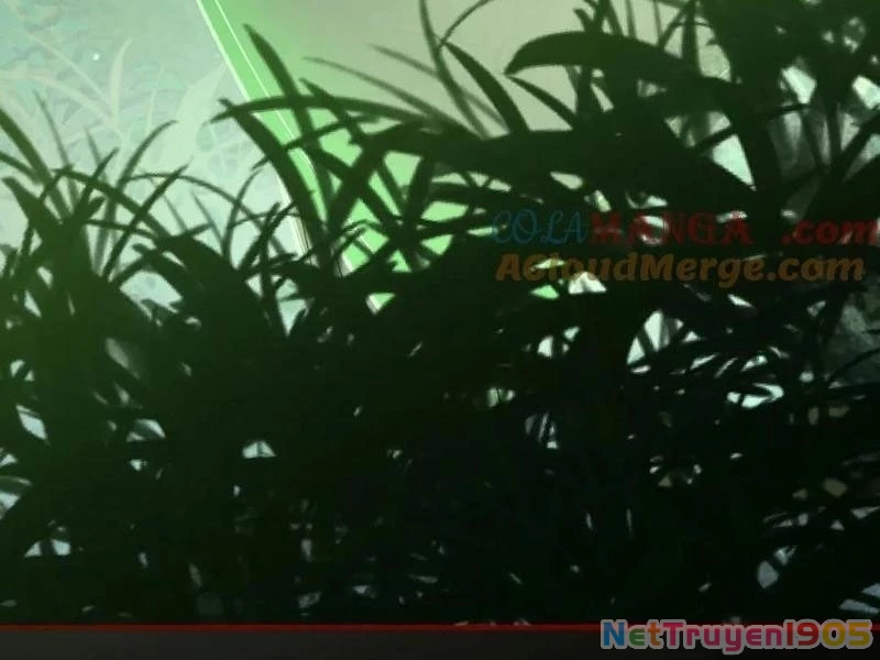 Thu Thi Nhân: Mở Đầu Bằng Việc Giải Phẫu Bạn Gái Cũ Chapter 32 - 105