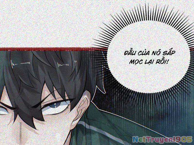 Thu Thi Nhân: Mở Đầu Bằng Việc Giải Phẫu Bạn Gái Cũ Chapter 33 - 62
