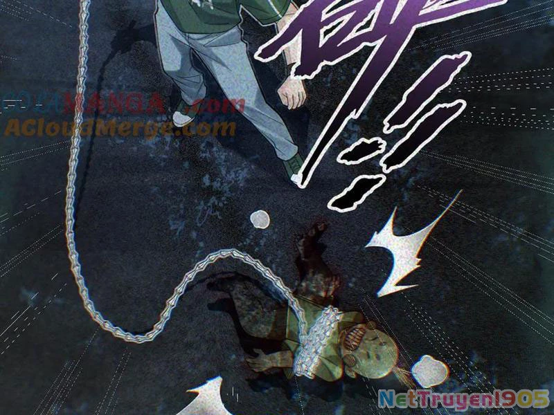 Thu Thi Nhân: Mở Đầu Bằng Việc Giải Phẫu Bạn Gái Cũ Chapter 33 - 72