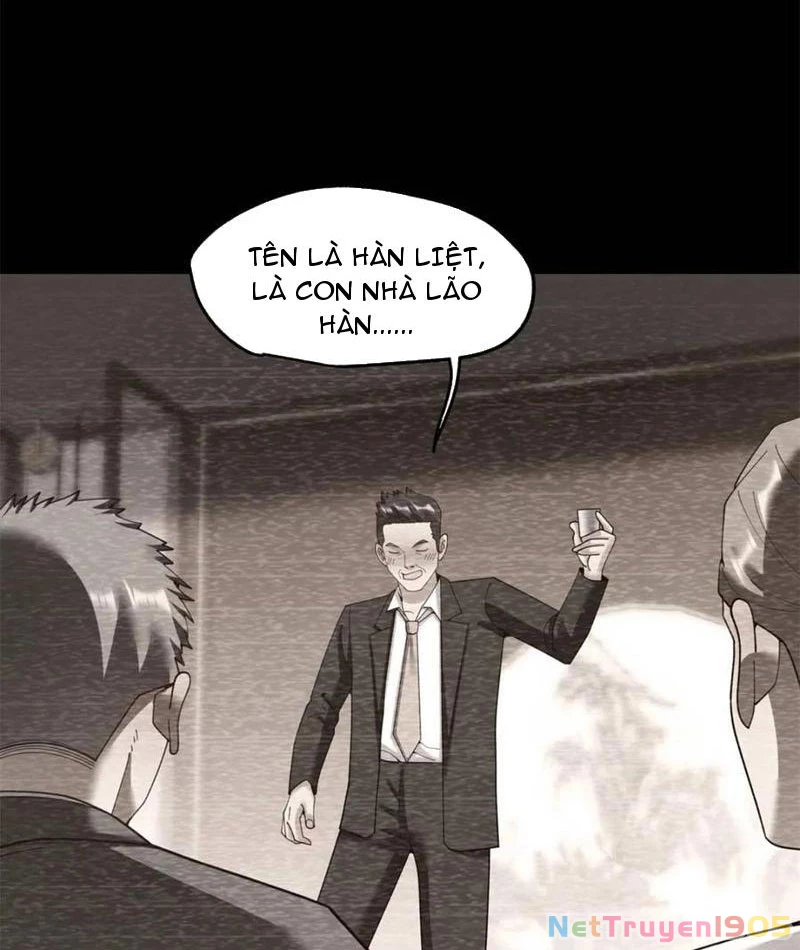Trọng Sinh Không Làm Chạn Vương, Tôi Một Mình Nạp Game Thăng Cấp Chapter 233 - 12