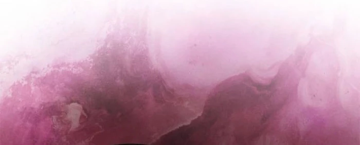 Người Chơi Mới Cấp Tối Đa Chapter 210 - 91