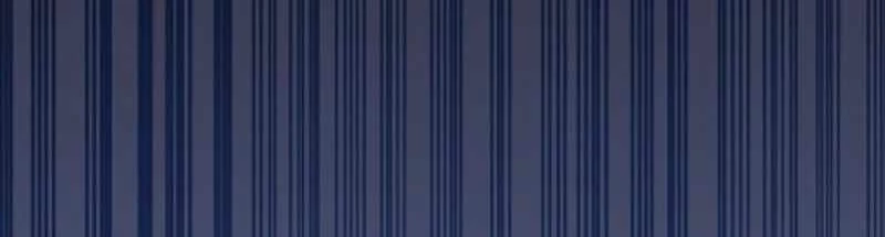 Vô Song Cùng Với Vũ Khí Ẩn Chapter 55 - 112