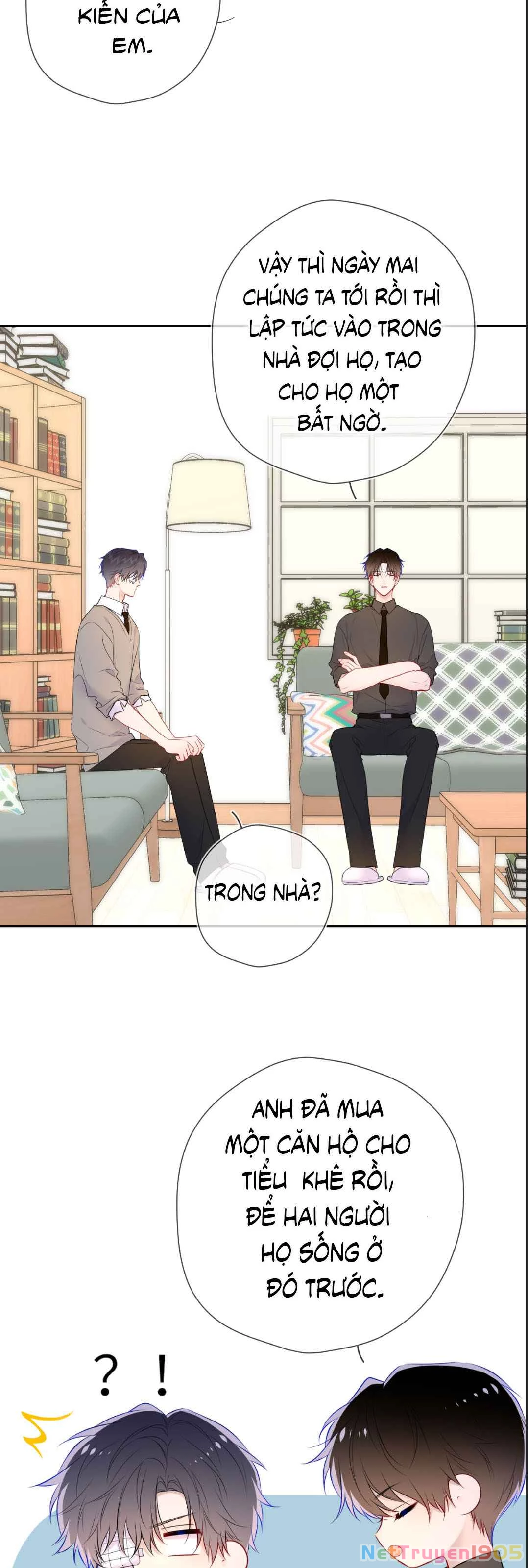 Ngôi Sao Cho Tôi Phần 2 Chapter 20 - Trang 2