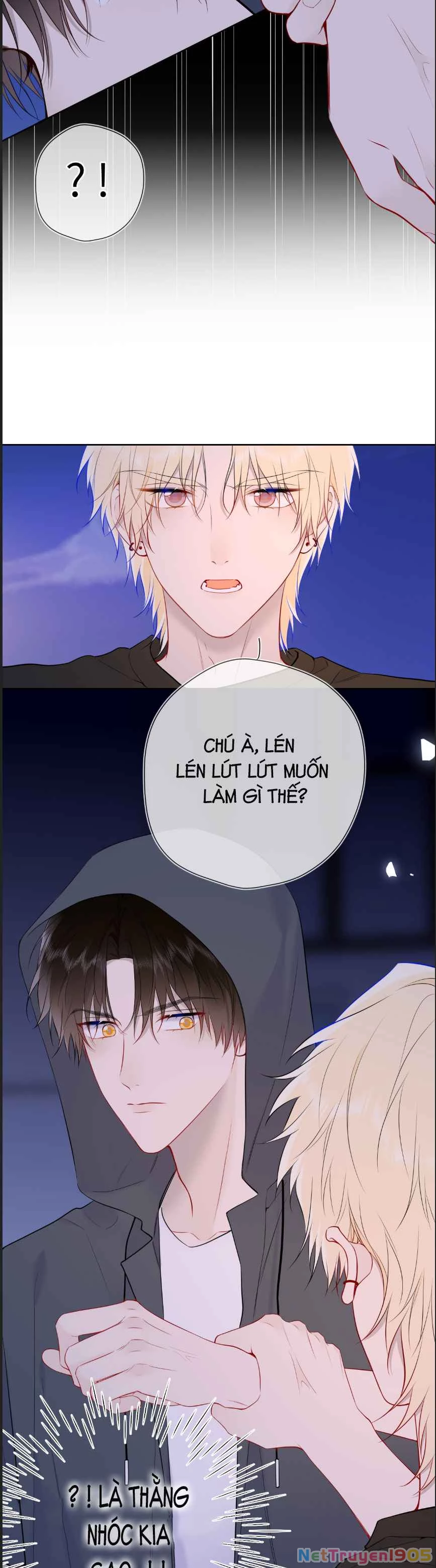 Ngôi Sao Cho Tôi Phần 2 Chapter 23 - Trang 2