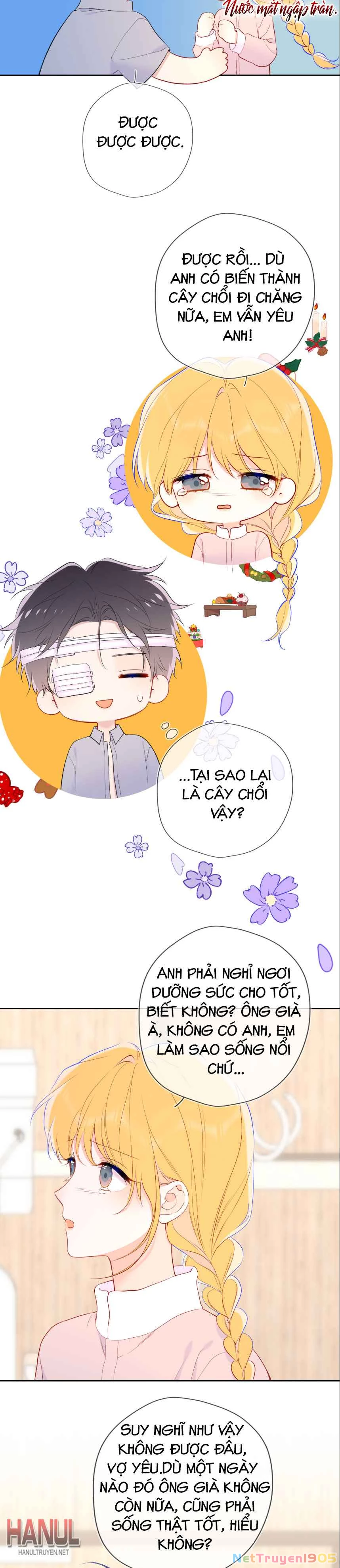 Ngôi Sao Cho Tôi Phần 2 Chapter 38 - Trang 2