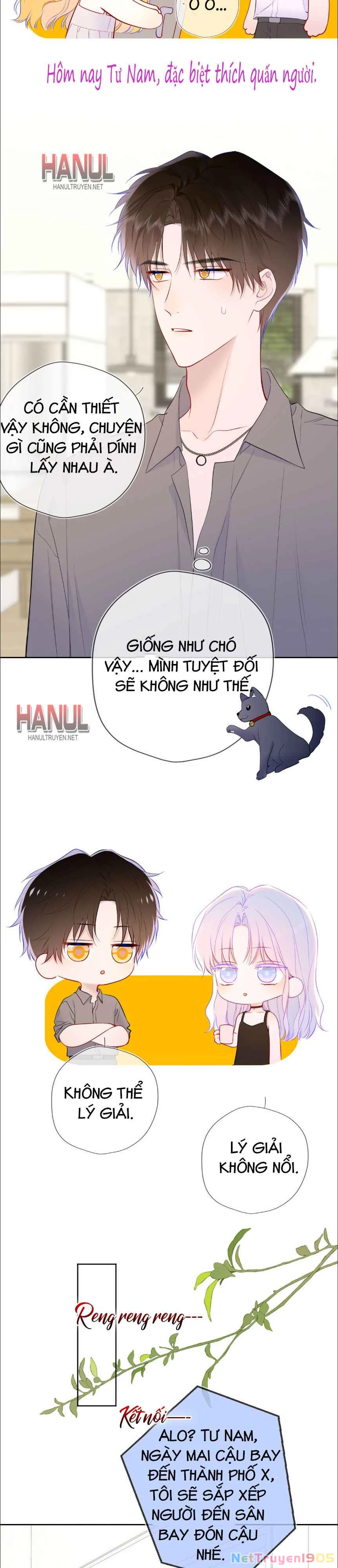 Ngôi Sao Cho Tôi Phần 2 Chapter 40 - 4