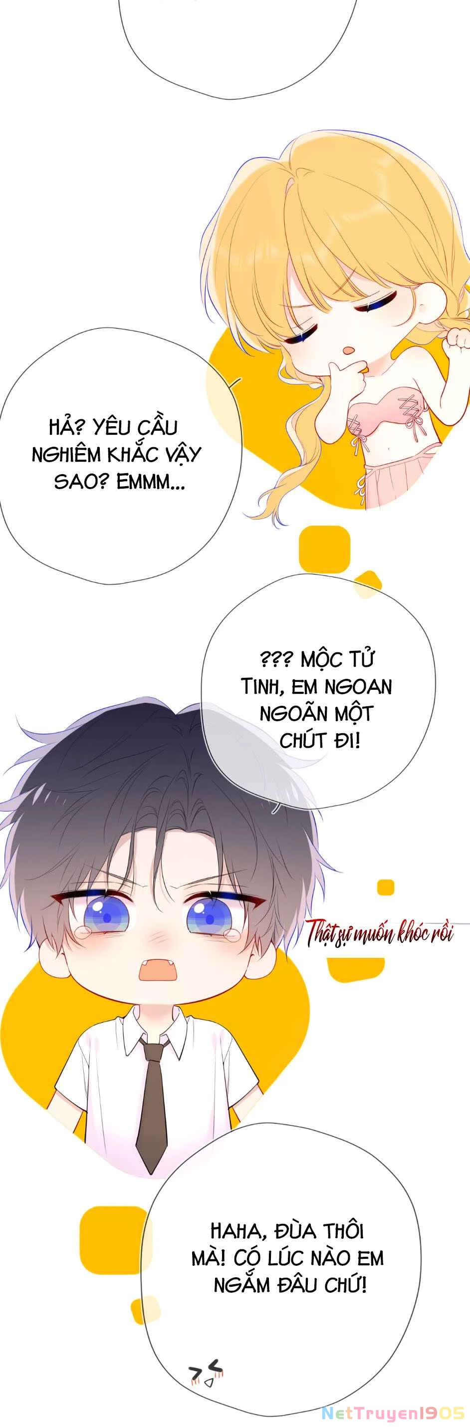 Ngôi Sao Cho Tôi Phần 2 Chapter 41 - 15
