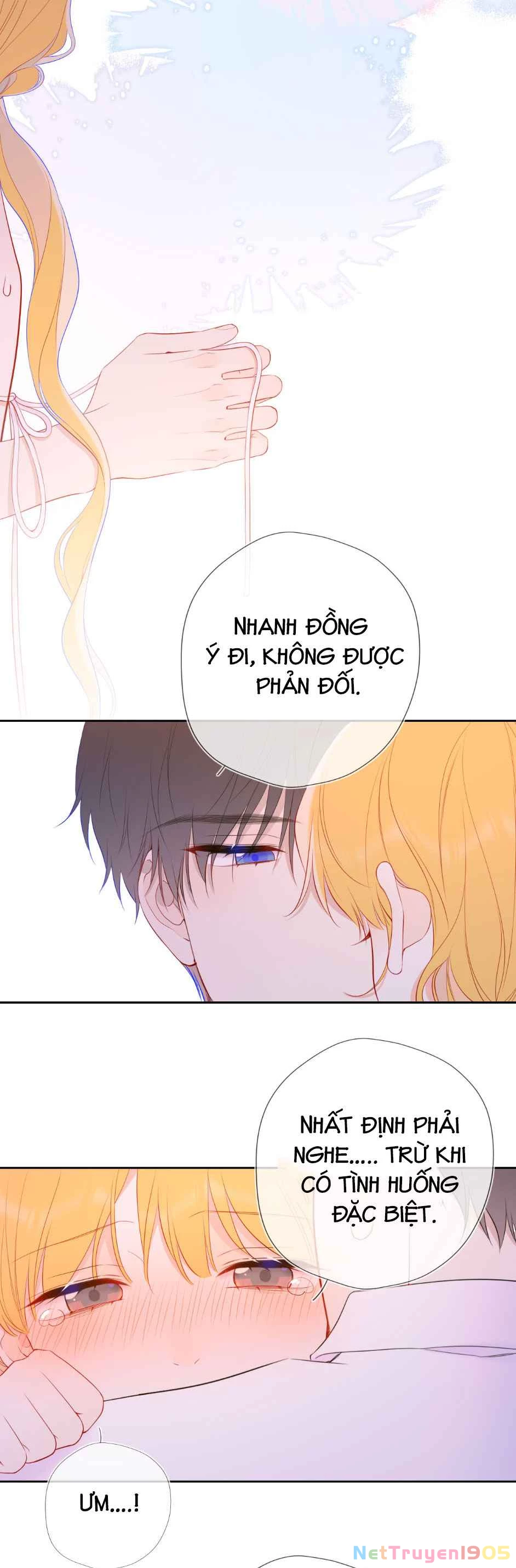 Ngôi Sao Cho Tôi Phần 2 Chapter 41 - 19