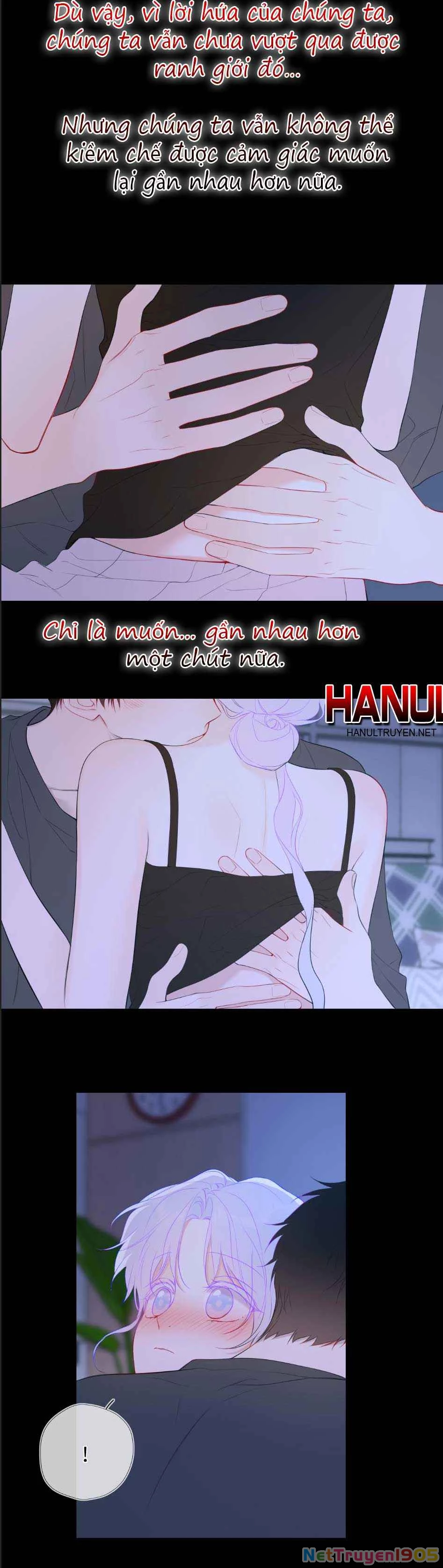 Ngôi Sao Cho Tôi Phần 2 Chapter 43 - 13