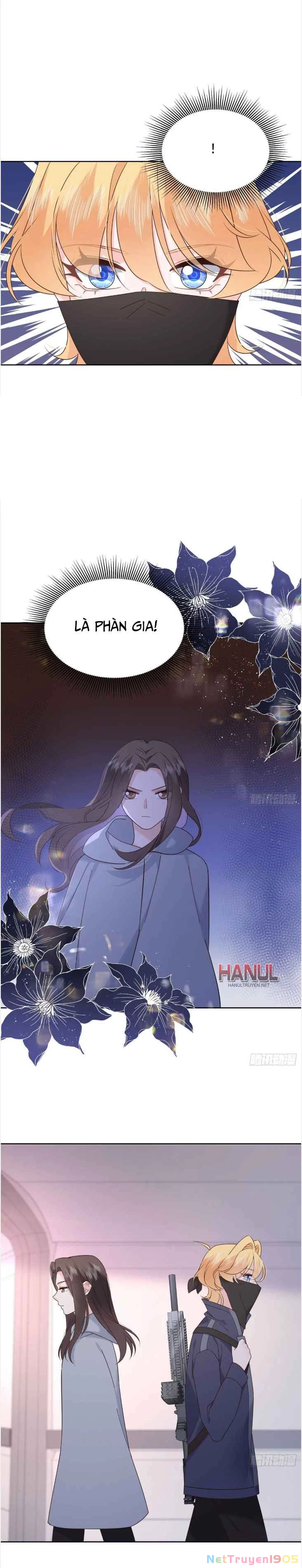 Hotboy Quốc Dân Là Nữ Chapter 488 - 3