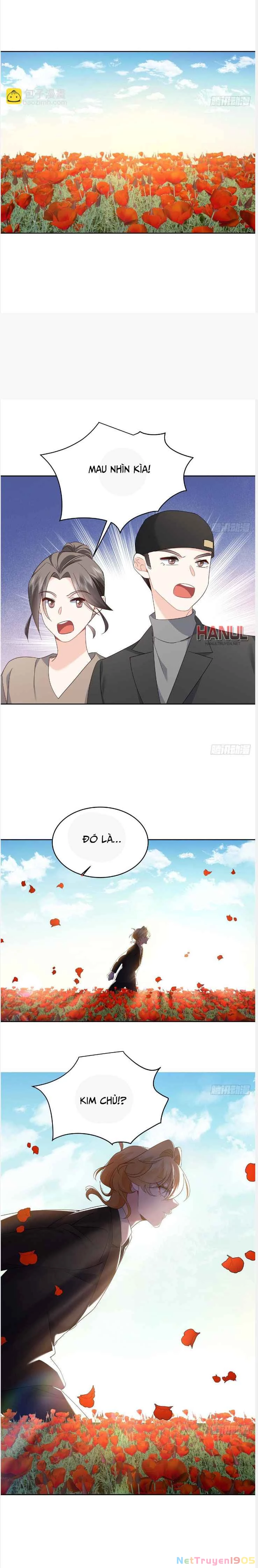 Hotboy Quốc Dân Là Nữ Chapter 491 - 3