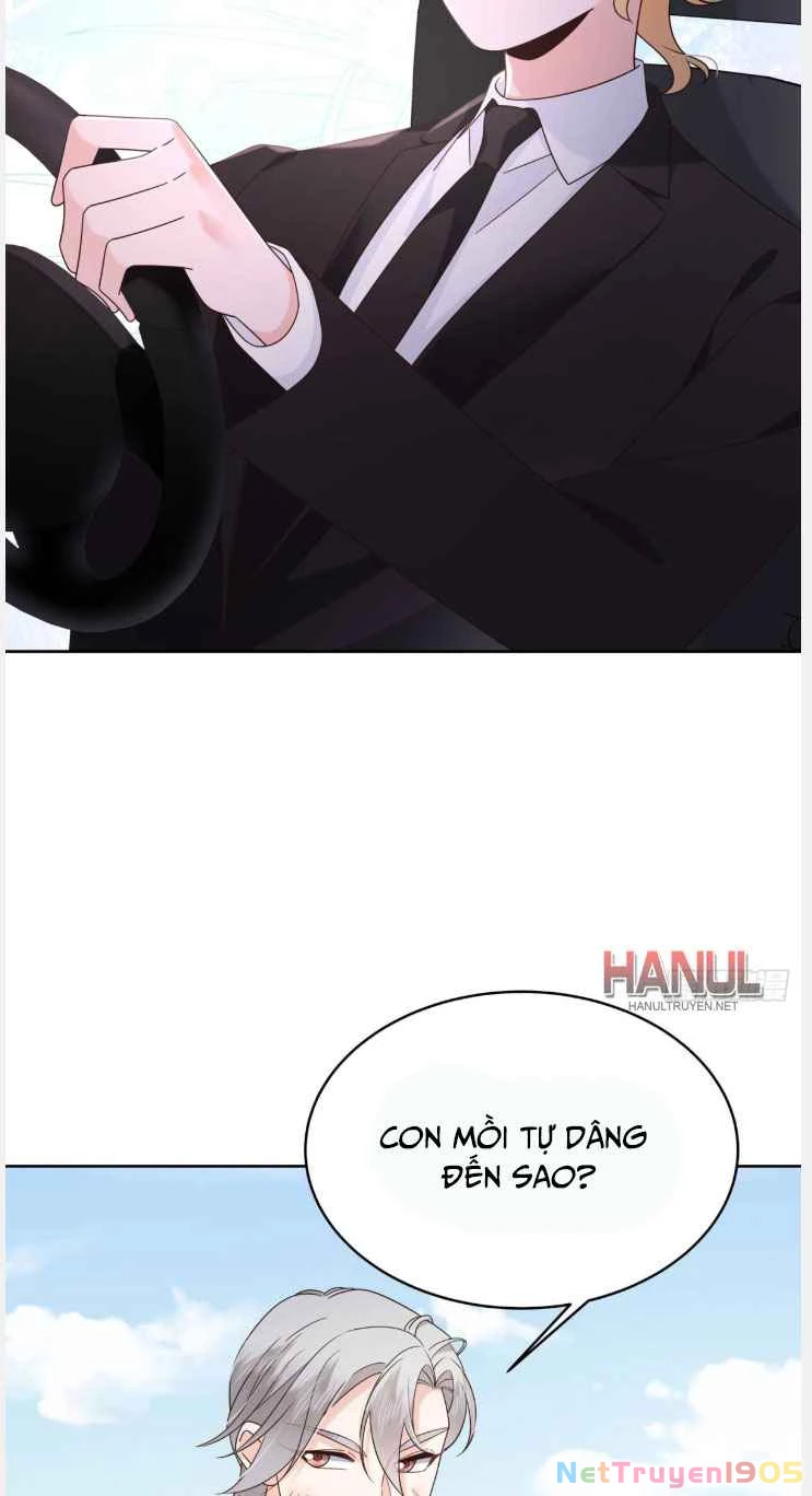 Hotboy Quốc Dân Là Nữ Chapter 492 - 12