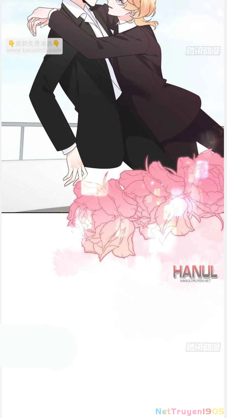 Hotboy Quốc Dân Là Nữ Chapter 492 - 17