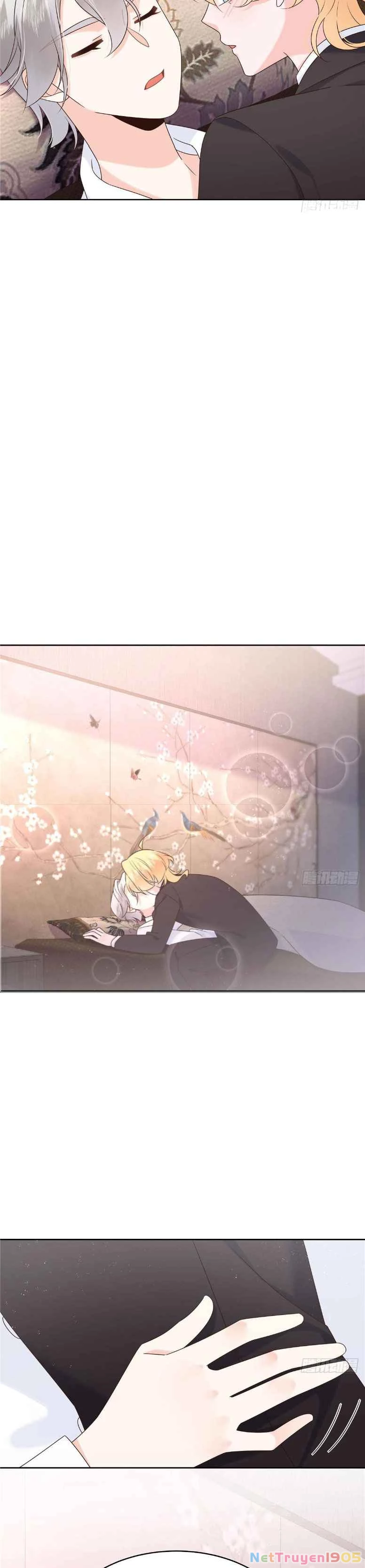 Hotboy Quốc Dân Là Nữ Chapter 496 - 8