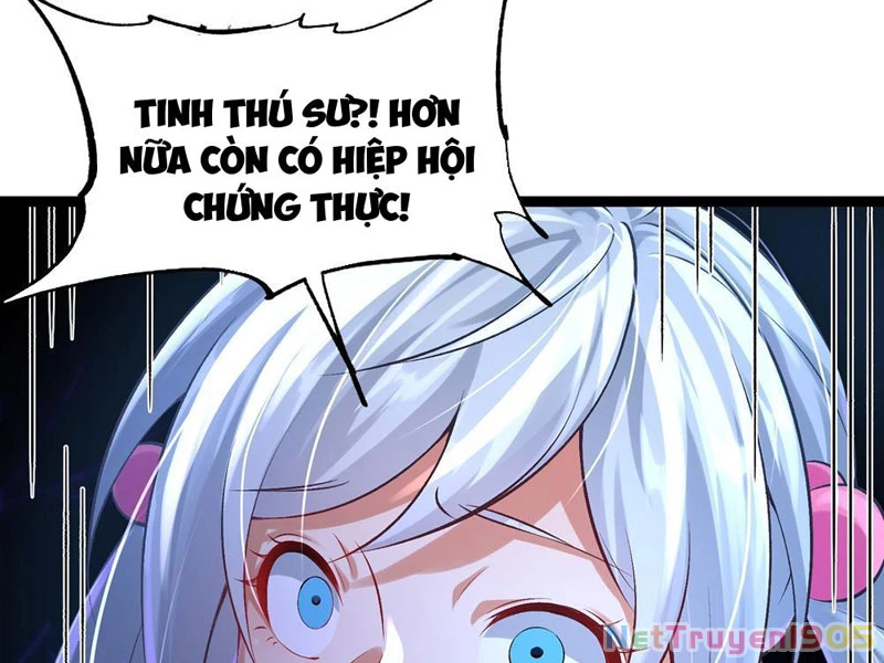 Tinh Thú Sư Mạnh Nhất Chapter 1 - 62