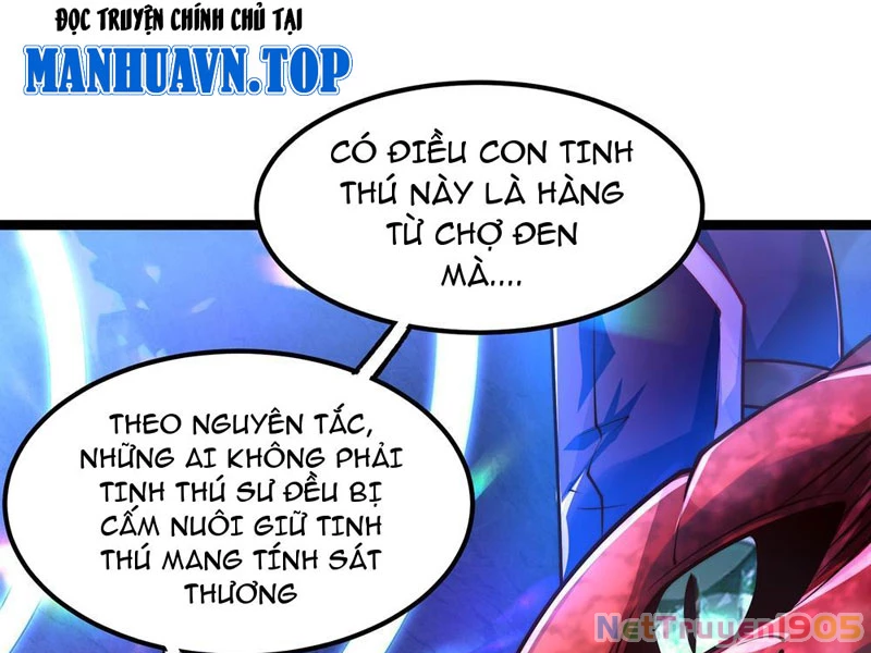Tinh Thú Sư Mạnh Nhất Chapter 2 - 13