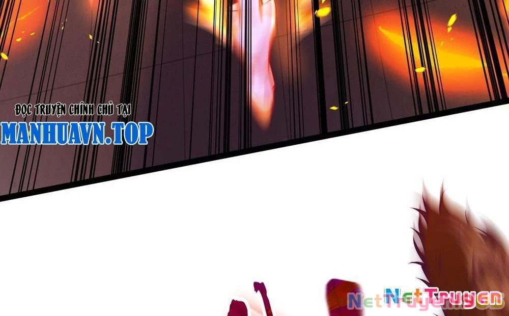 Tinh Thú Sư Mạnh Nhất Chapter 3 - 11