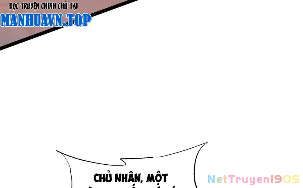 Tinh Thú Sư Mạnh Nhất Chapter 3 - 24