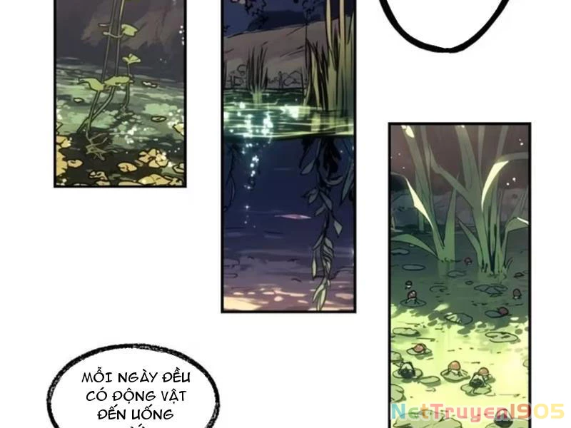 Từ Một Hồ Nước Bắt Đầu Tiến Hóa Chapter 2 - 4