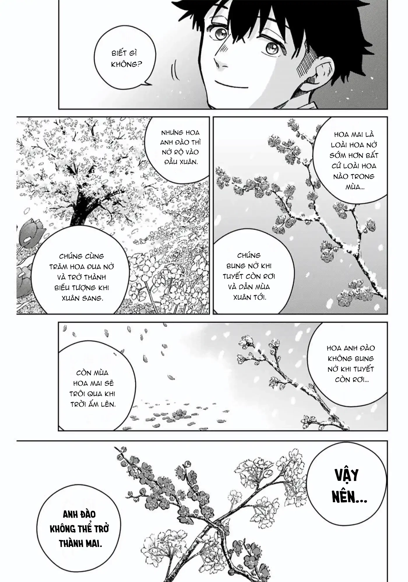 Wind Breaker (Nii Satoru) Chapter 181 - 13