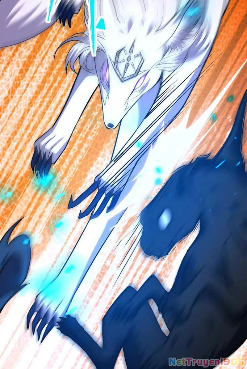 Trùng Sinh Thành Godzilla Chapter 267 - 10