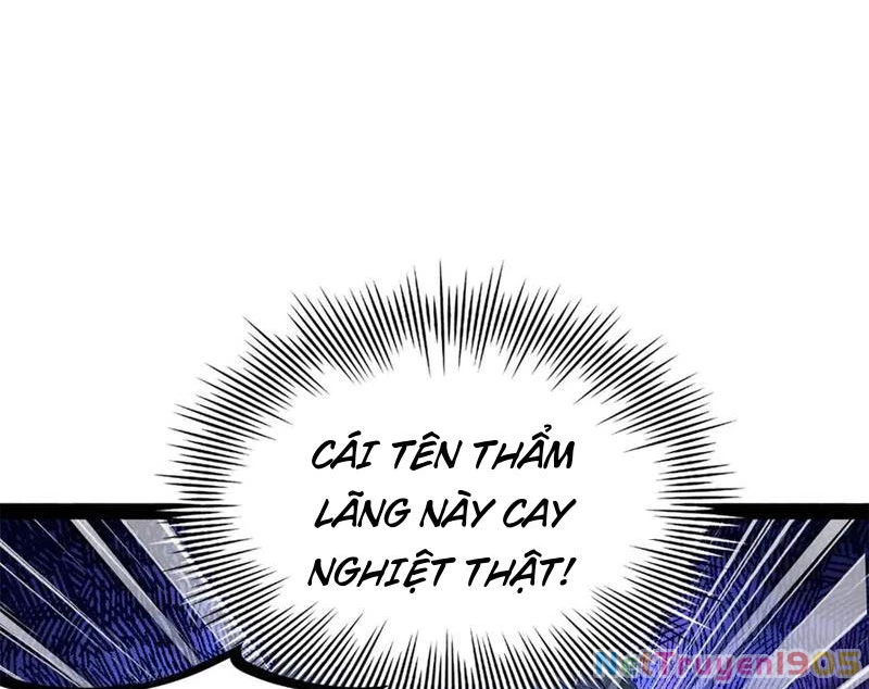 Chàng Rể Mạnh Nhất Lịch Sử Chapter 305 - 34