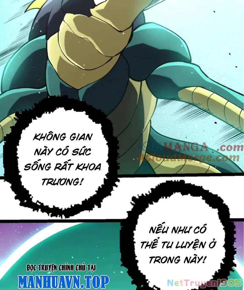 Chuyển Sinh Thành Liễu Đột Biến Chapter 386 - Trang 2