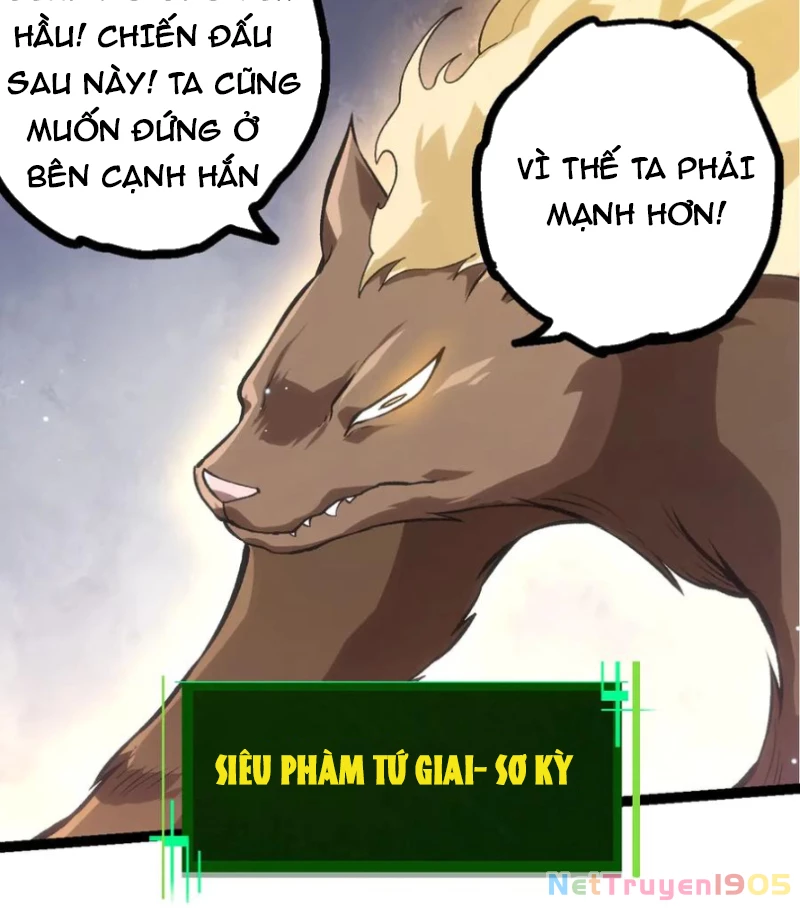 Chuyển Sinh Thành Liễu Đột Biến Chapter 386 - Trang 2