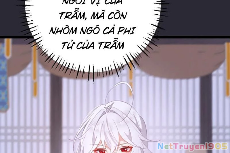Phá thân của nữ Hoàng Đế Chapter 47 - 114