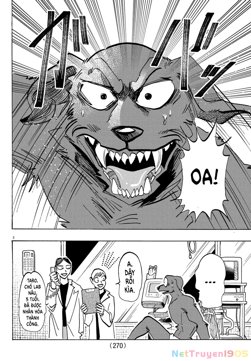 Lý Trí Của Taika Chapter 21 - 2