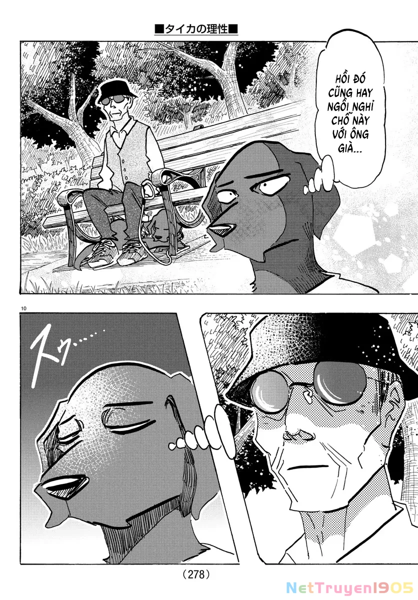 Lý Trí Của Taika Chapter 21 - 10