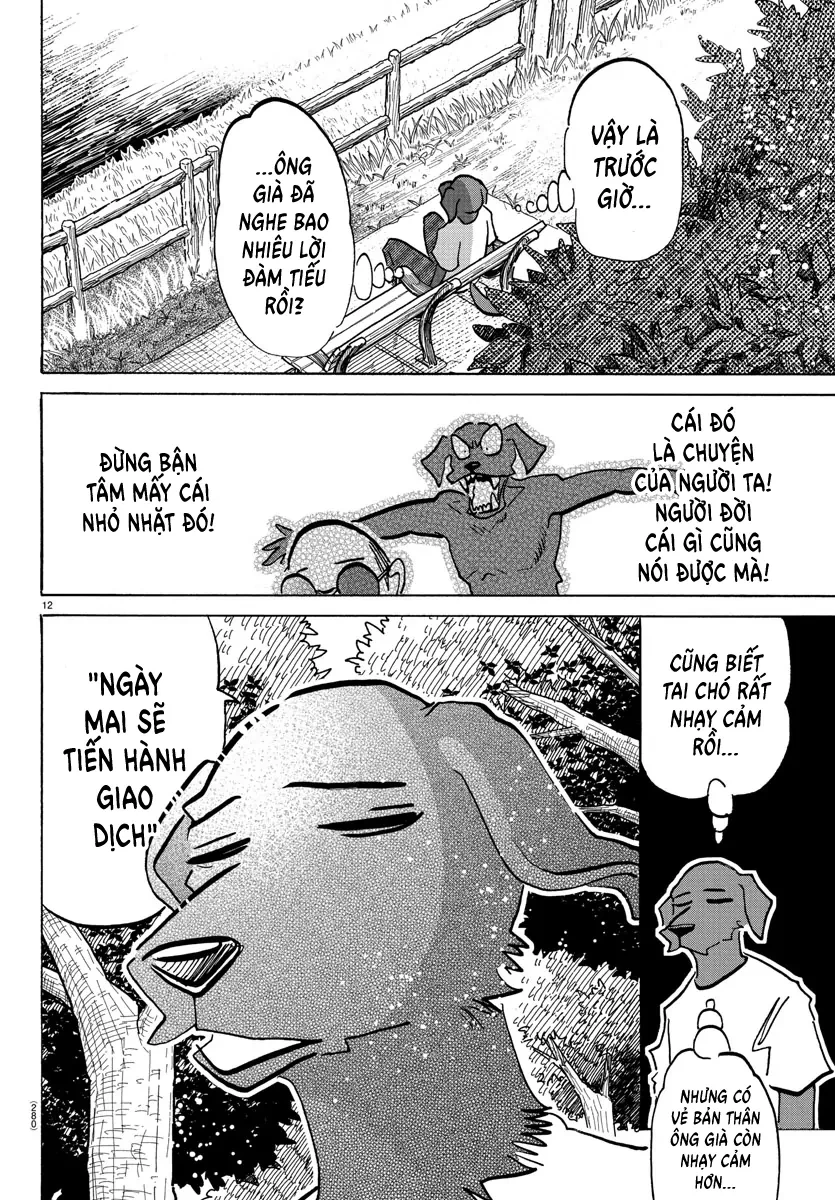 Lý Trí Của Taika Chapter 21 - 12