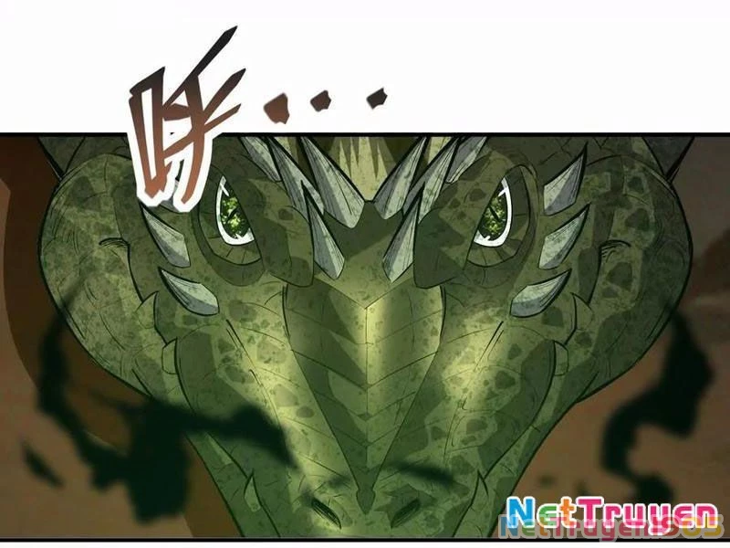 Trùng Sinh Thành Godzilla Chapter 272 - 51