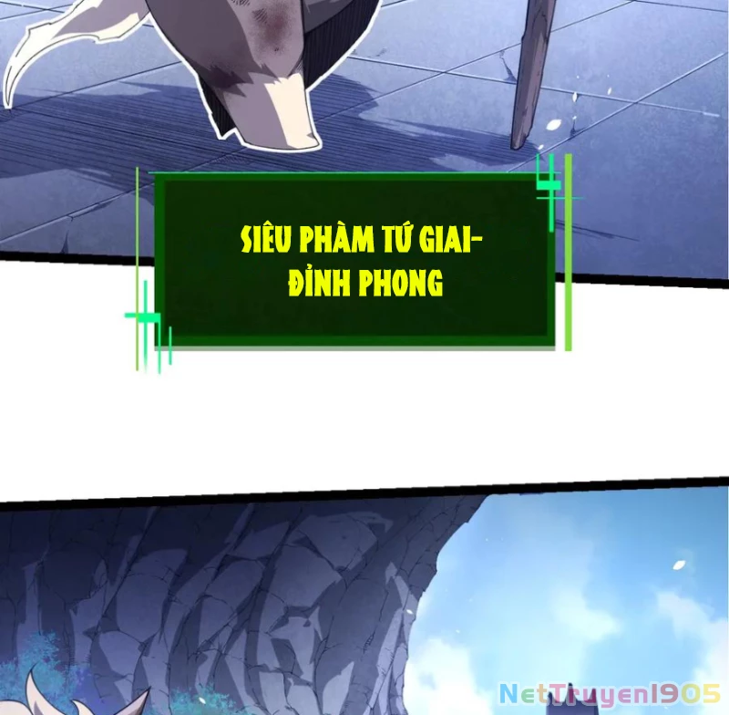 Chuyển Sinh Thành Liễu Đột Biến Chapter 387 - 10