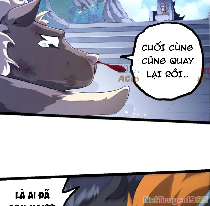 Chuyển Sinh Thành Liễu Đột Biến Chapter 387 - 11
