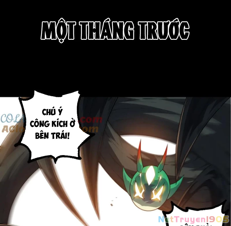 Chuyển Sinh Thành Liễu Đột Biến Chapter 387 - 14