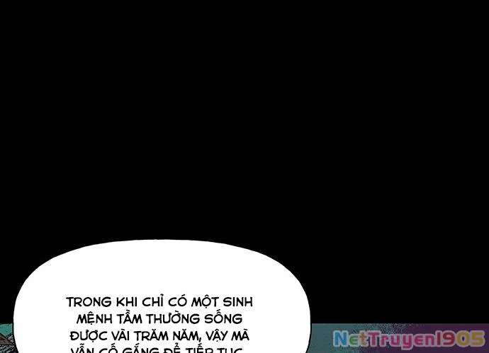 Cửa Hàng Đồ Cổ Tương Lai Chapter 39 - 191