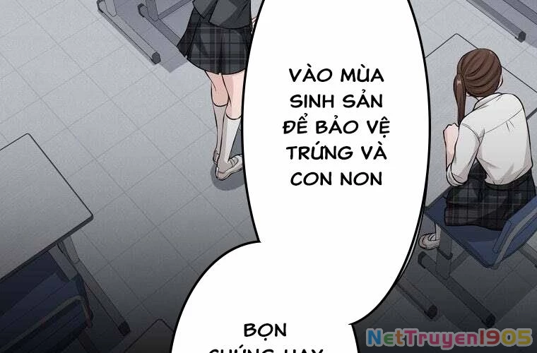 Giáo Viên Ác Quỷ Saiko Chapter 30 - 37