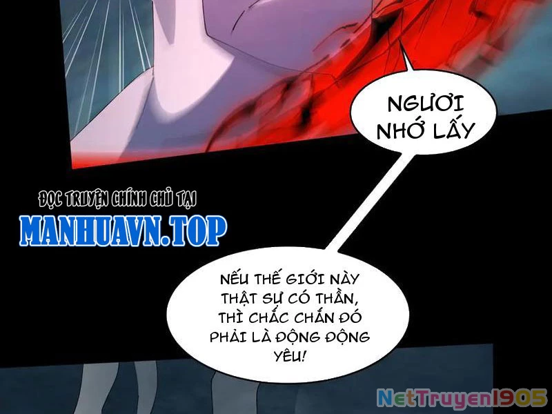 Trước mặt bệnh tâm thần, quỷ dị chẳng là gì cả Chapter 137 - 33