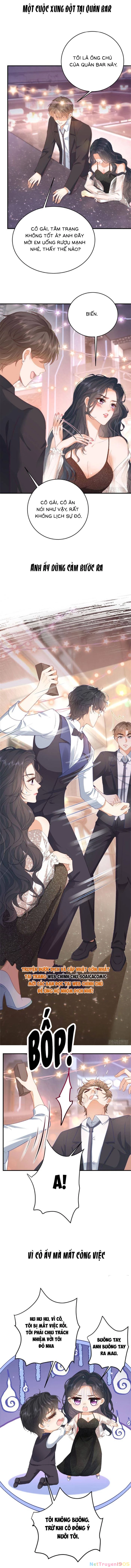 Bạn Gái Giả Ngốc Của Chủ Tịch Chapter 0 - 3
