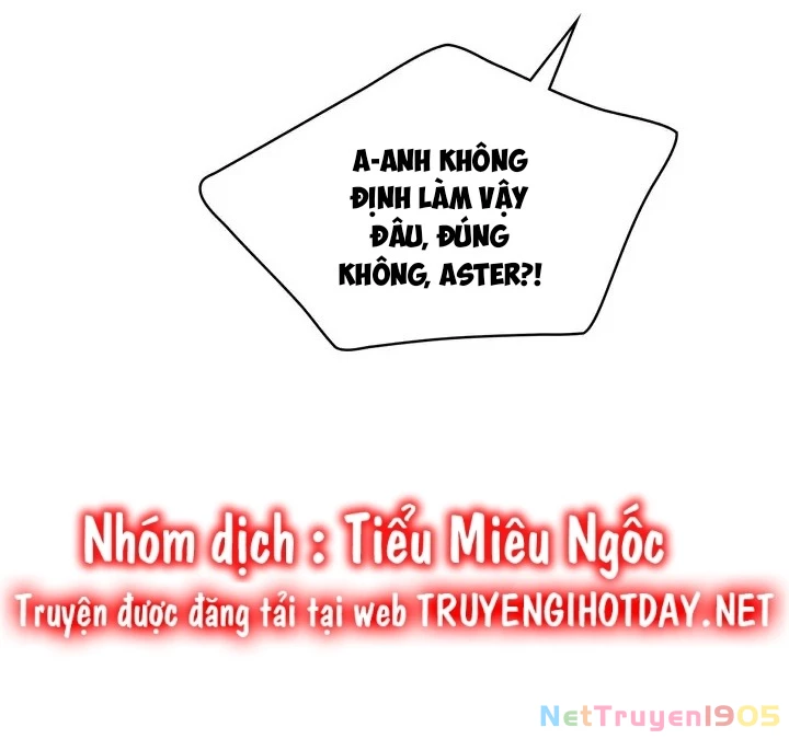 Một Đêm Sâu Đậm Của Adeline Chapter 79 - 23